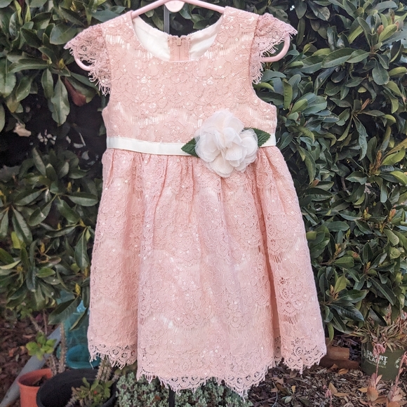 Rare Editions Other - Rare Editions Cap Sleeve Pink Lace Dress Size 24 mos